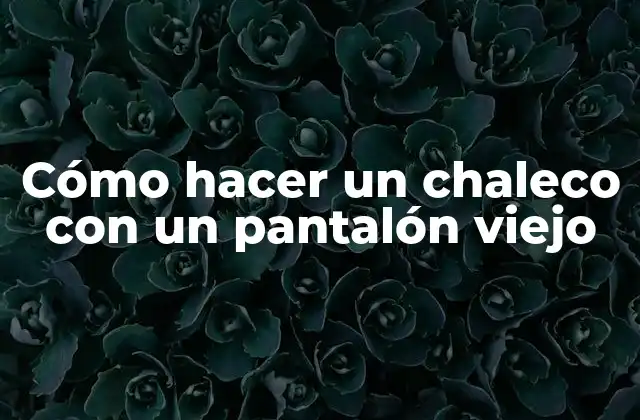 Cómo Hacer un Chaleco con un Pantalón Viejo