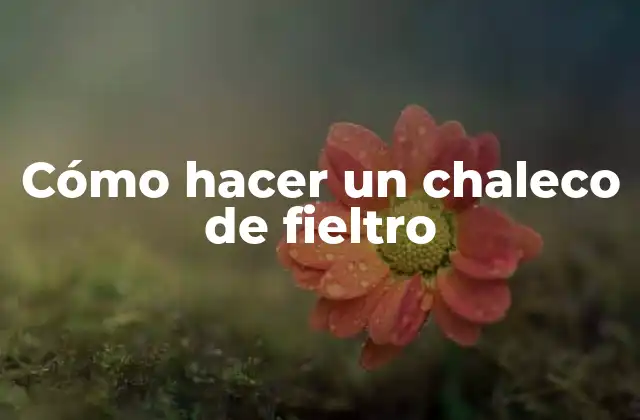 Cómo Hacer un Chaleco de Fieltro