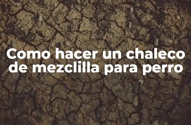 Como Hacer un Chaleco de Mezclilla para Perro 2 ¿Qué es un chaleco de mezclilla para perro?