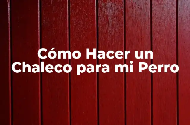 Cómo Hacer un Chaleco para Mi Perro 2 ¿Qué es un Chaleco para Perros y para Qué Sirve?