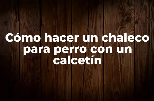 Cómo Hacer un Chaleco para Perro con un Calcetín