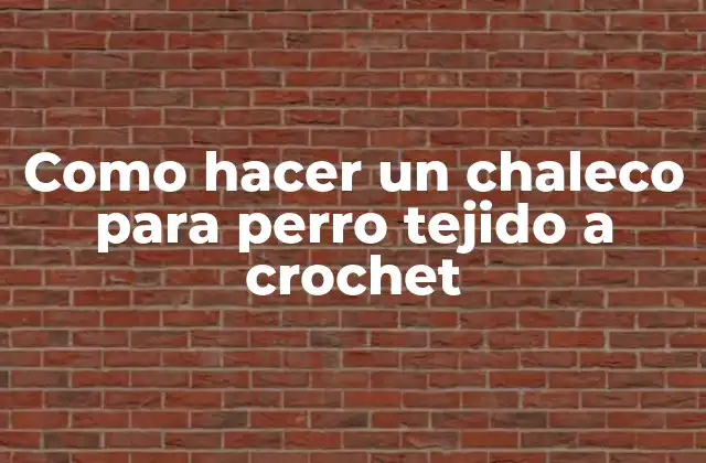 Como Hacer un Chaleco para Perro Tejido a Crochet