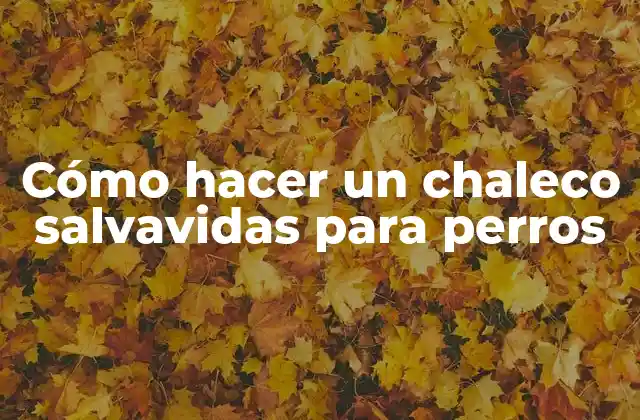 Cómo Hacer un Chaleco Salvavidas para Perros