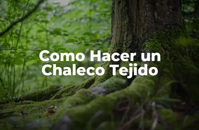 Como Hacer un Chaleco Tejido
