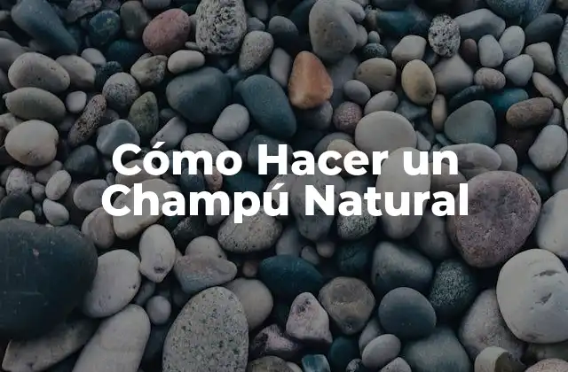 Cómo Hacer un Champú Natural