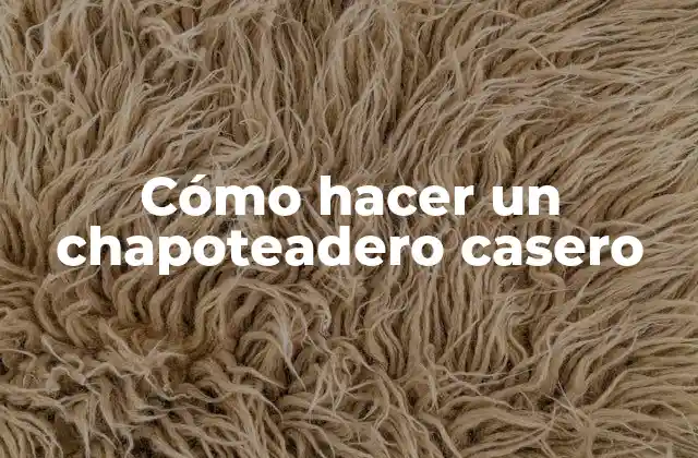 Cómo Hacer un Chapoteadero Casero