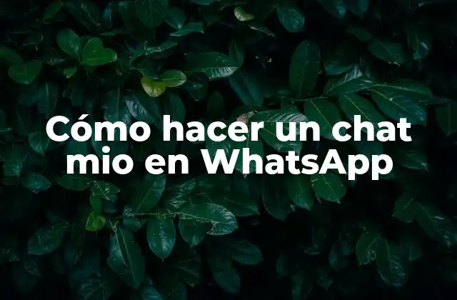 Crear un chat mio en WhatsApp