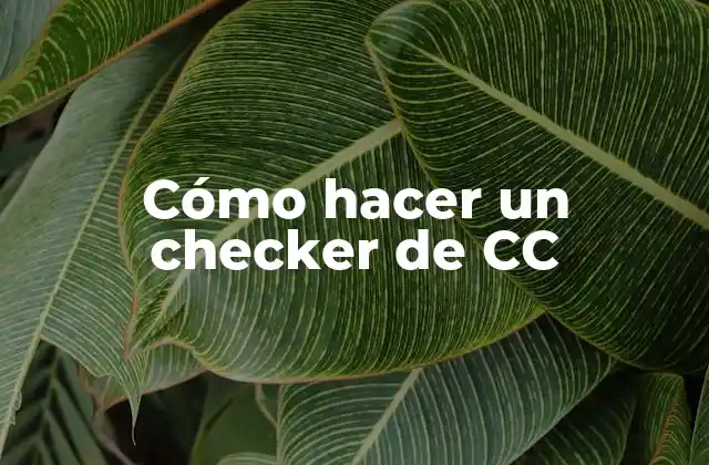 Cómo Hacer un Checker de Cc