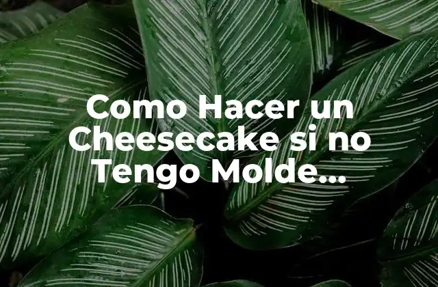 Como Hacer un Cheesecake Si No Tengo Molde Desmontable