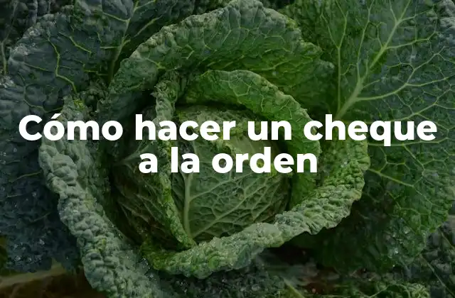 Cómo Hacer un Cheque a la Orden