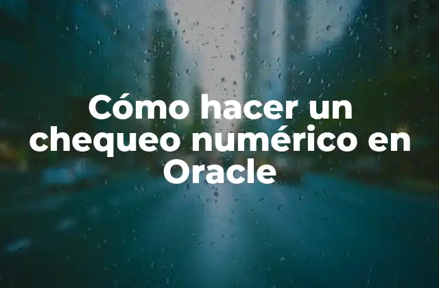 Cómo Hacer un Chequeo Numérico en Oracle