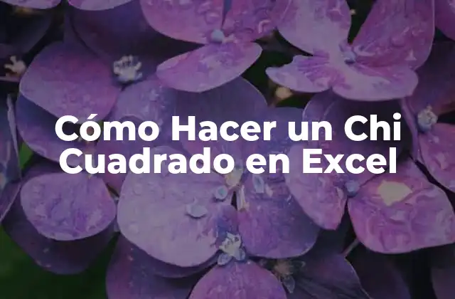 Cómo Hacer un Chi Cuadrado en Excel