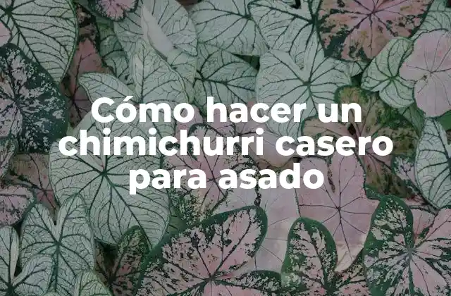 Cómo Hacer un Chimichurri Casero para Asado