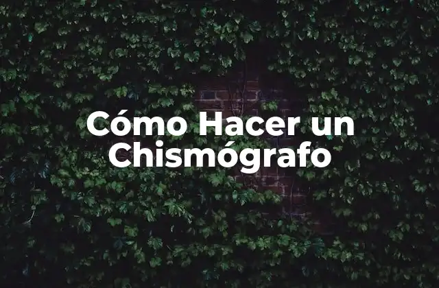¿Qué es un Chismógrafo?