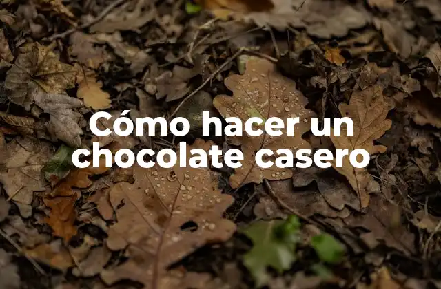 Cómo Hacer un Chocolate Casero