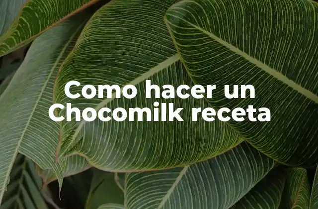 Como Hacer un Chocomilk Receta