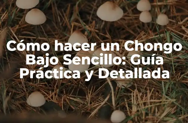 Cómo Hacer un Chongo bajo Sencillo: Guía Práctica y Detallada