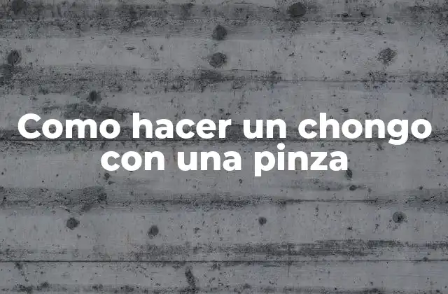 Como Hacer un Chongo con una Pinza