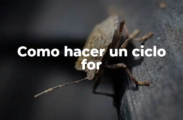 Como Hacer un Ciclo For