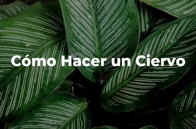 Cómo Hacer un Ciervo