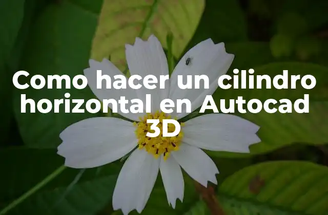 Como Hacer un Cilindro Horizontal en Autocad 3d