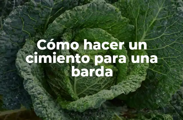 Cómo Hacer un Cimiento para una Barda