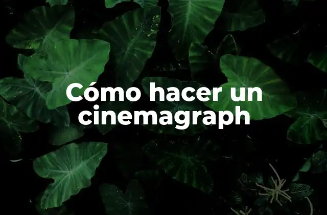 Cómo Hacer un Cinemagraph 2 ¿Qué es un cinemagraph y para qué sirve?