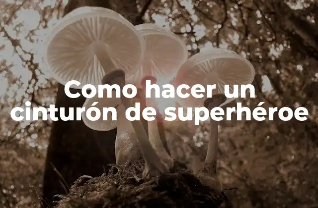 Como Hacer un Cinturón de Superhéroe 2 ¿Qué es un cinturón de superhéroe?