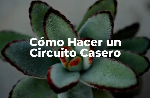 Cómo Hacer un Circuito Casero