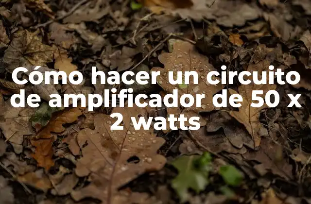 Cómo Hacer un Circuito de Amplificador de 50 X 2 Watts
