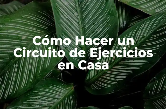 Cómo Hacer un Circuito de Ejercicios en Casa