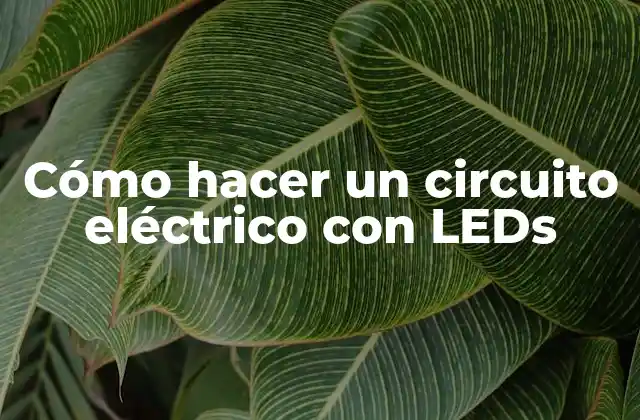 Cómo Hacer un Circuito Eléctrico con Leds