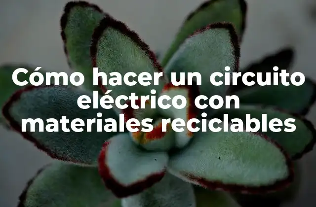 Cómo Hacer un Circuito Eléctrico con Materiales Reciclables