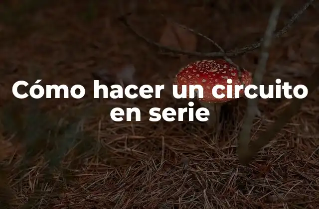 Cómo Hacer un Circuito en Serie