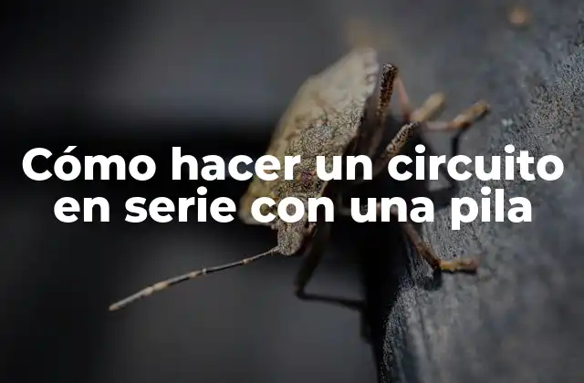 Cómo Hacer un Circuito en Serie con una Pila