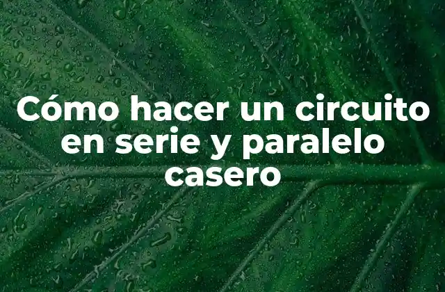 Cómo Hacer un Circuito en Serie y Paralelo Casero