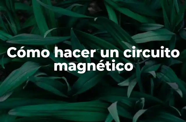 Cómo Hacer un Circuito Magnético