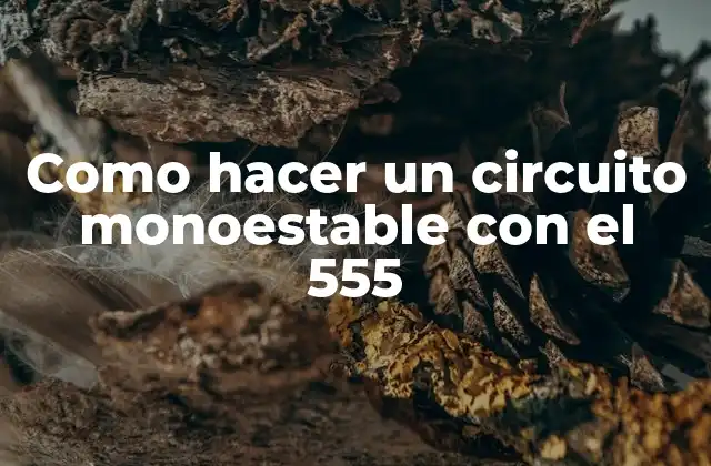 Como Hacer un Circuito Monoestable con el 555