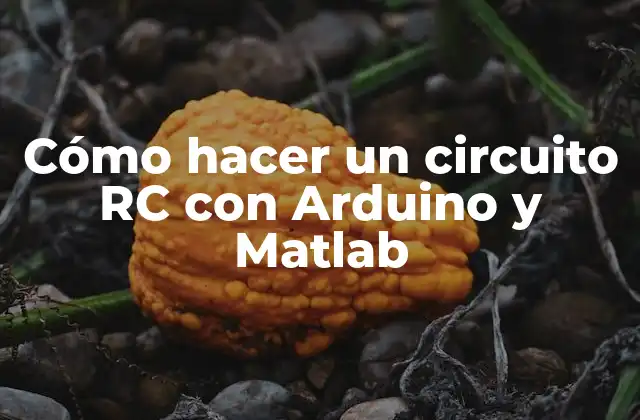 Cómo Hacer un Circuito Rc con Arduino y Matlab 2 Cómo hacer un circuito RC con Arduino y Matlab