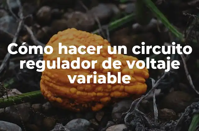 Cómo Hacer un Circuito Regulador de Voltaje Variable