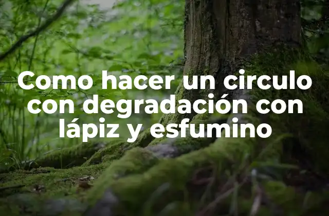 Como Hacer un Circulo con Degradación con Lápiz y Esfumino
