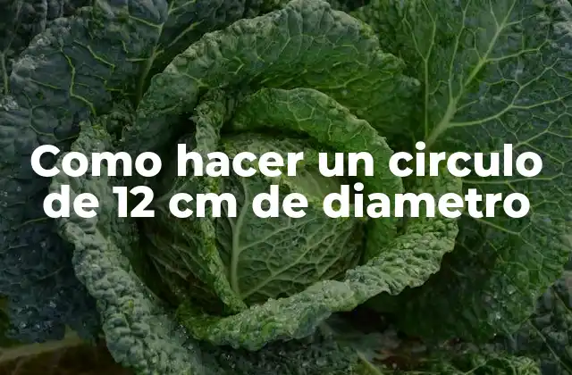 Como Hacer un Circulo de 12 Cm de Diametro