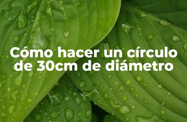 Cómo Hacer un Círculo de 30cm de Diámetro