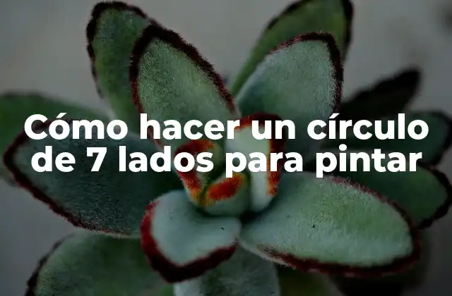 ¿Qué es un círculo de 7 lados y para qué sirve?