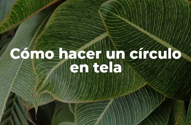 Cómo Hacer un Círculo en Tela 2 Cómo hacer un círculo en tela