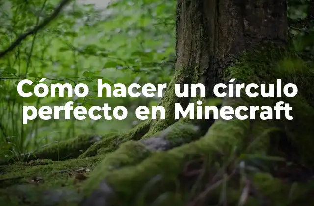 Cómo Hacer un Círculo Perfecto en Minecraft