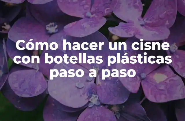 Cómo Hacer un Cisne con Botellas Plásticas Paso a Paso
