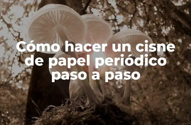Cómo Hacer un Cisne de Papel Periódico Paso a Paso