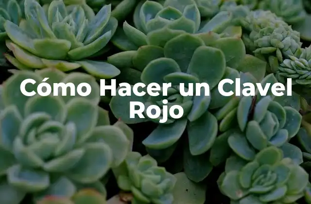 Cómo Hacer un Clavel Rojo