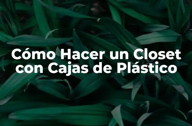 Cómo Hacer un Closet con Cajas de Plástico